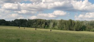 Межъепархиальная (региональная) военно-спортивная патриотическая игра "Казачий Сполох